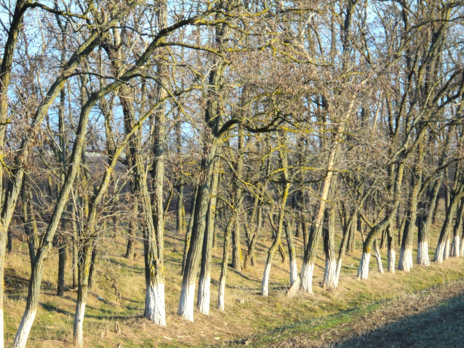 Благодарим за понимание и поддержку аграриев Ейского района!
